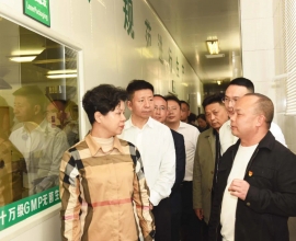 省委常委、副省長張迎春蒞臨張家界茅巖莓有限公司考察調(diào)研